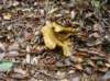 imgp0029_small.jpg