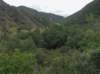 imgp0030_small.jpg