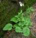imgp0032_small.jpg