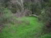 imgp0034_small.jpg