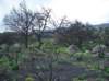 imgp0035_small.jpg