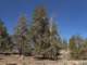 imgo6070019_small.jpg