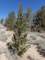 imgo6070020_small.jpg