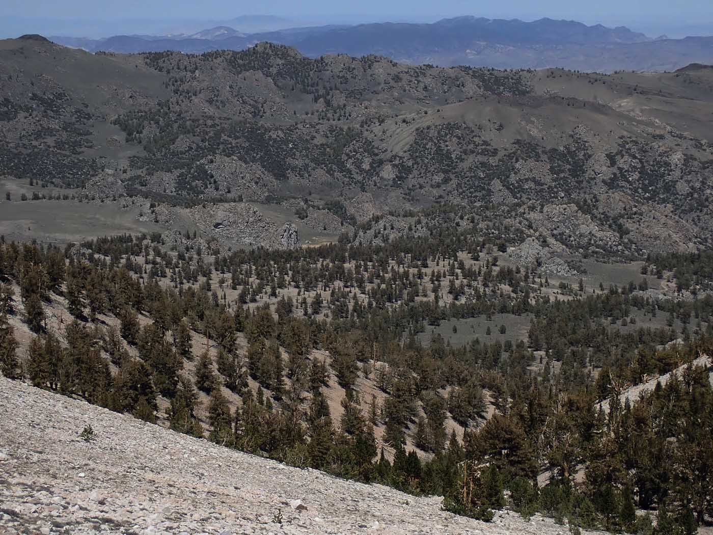 imgo6070099.jpg
