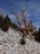 imgo6070114_small.jpg