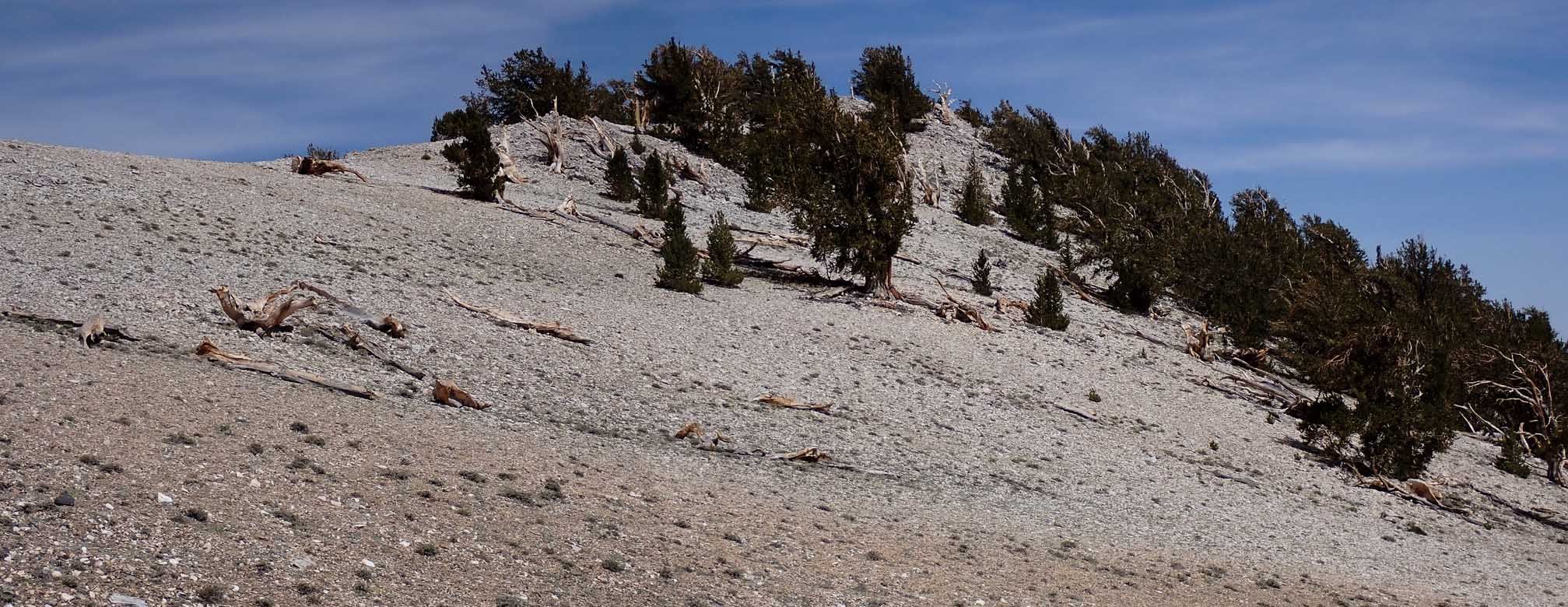 imgo6070116m.jpg
