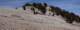 imgo6070116m_small.jpg
