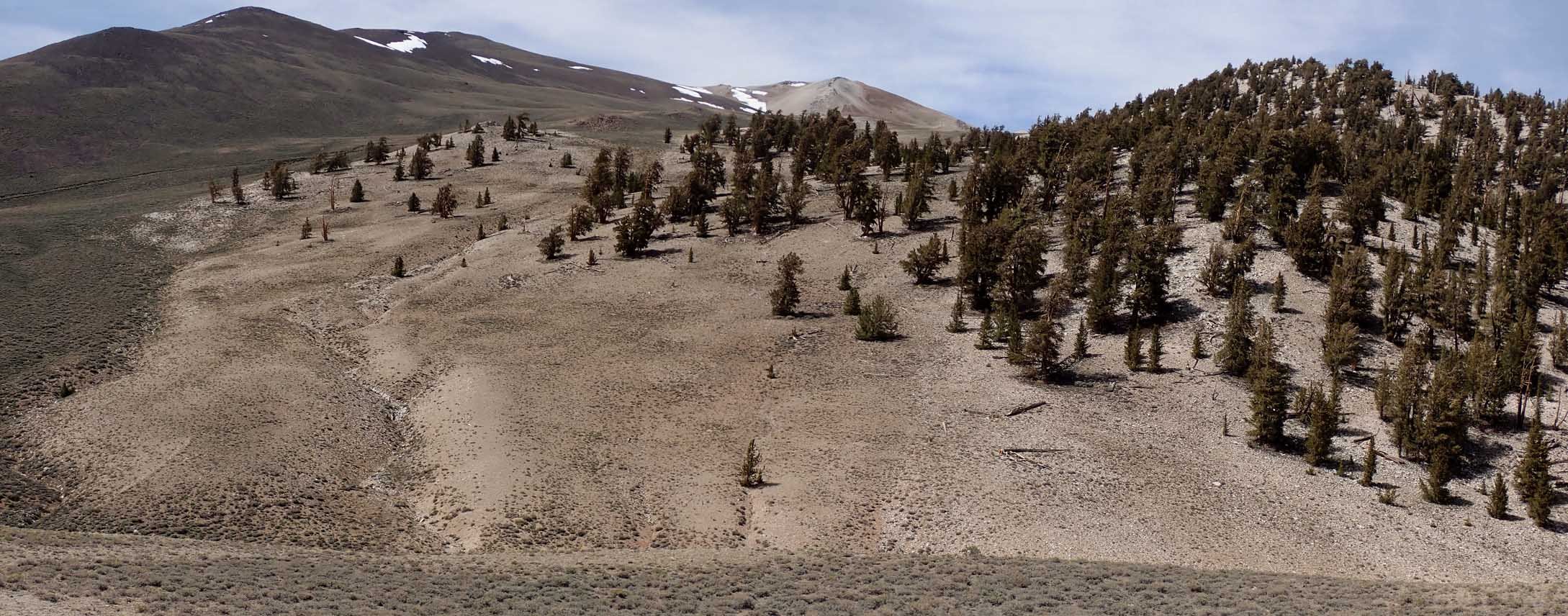 imgo6070120m.jpg