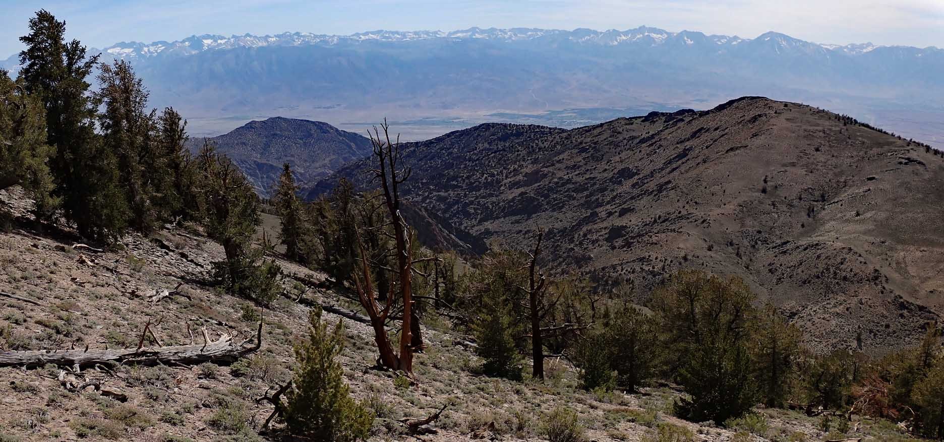 White Mountains 4x4 Hike.  Sierra Nevada in the background 6/7/2022