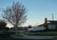imgp0003_small.jpg