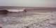 roll01_011_small.jpg