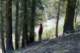 roll07_018_small.jpg