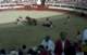 Breakwall Darryl went to the TJ Bullfights 10/1/1980 