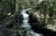 roll10_003_small.jpg