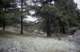 roll11_025_small.jpg