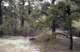 roll11_026_small.jpg