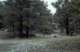 roll11_027_small.jpg