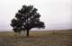 roll11_028_small.jpg