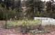 roll11_029_small.jpg