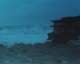 roll13_031_small.jpg