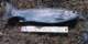 Kamloops rainbow trout from the Owens River above Crowley Lake 1985   