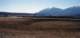 roll16_005_small.jpg