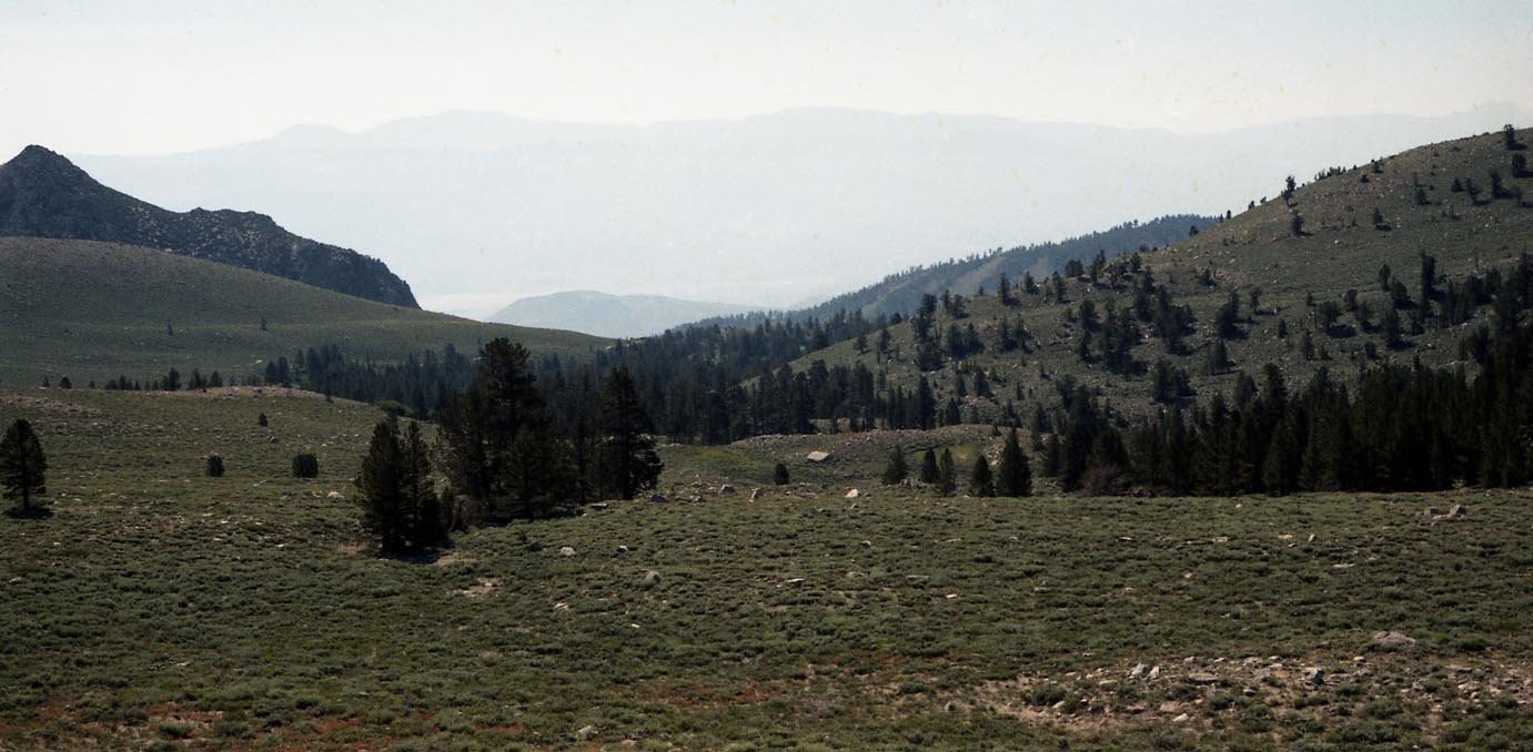 roll18_005.jpg