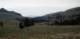 roll18_005_small.jpg