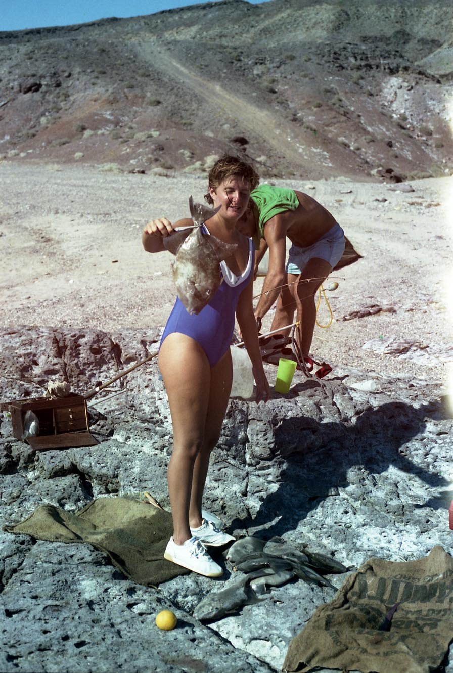 Carin L. with Dan caught mucho triggerfish from the Sea of Cortez south of Puertecitos, Baja California 1986