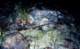 roll001_010_small.jpg