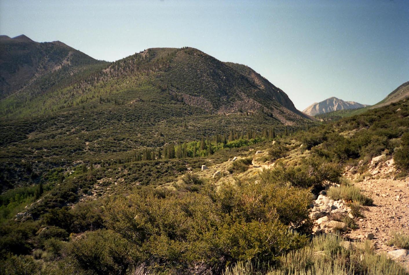 roll002_003.jpg