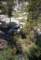 roll002_007_small.jpg