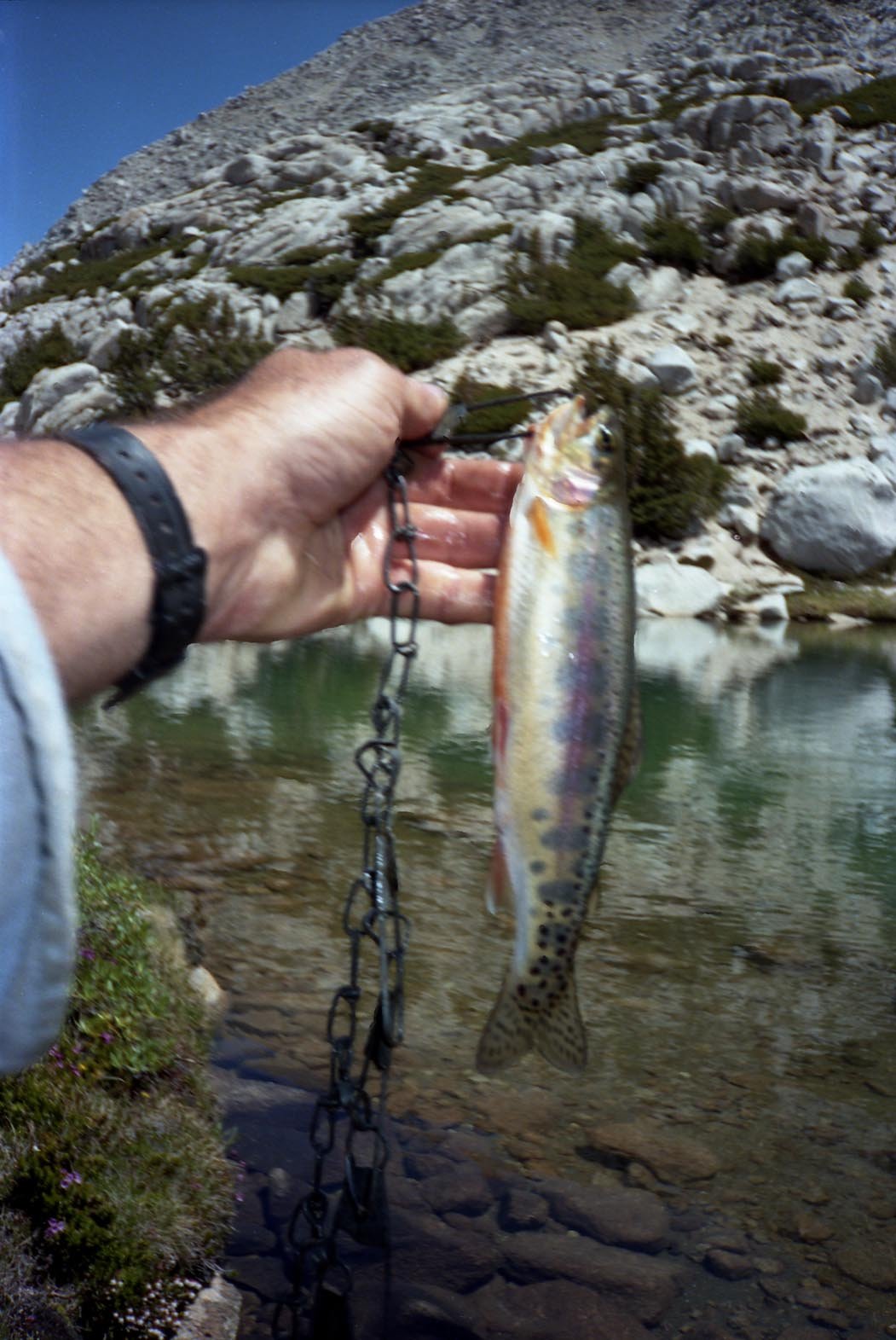 roll002_019.jpg