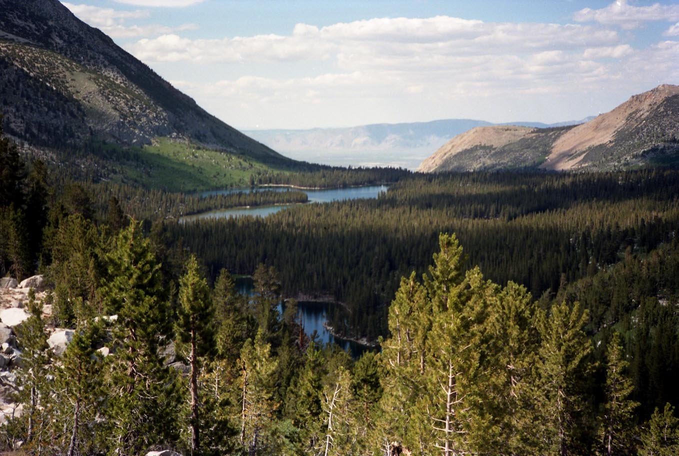 View of Secret Brown Trout Lake July 1991