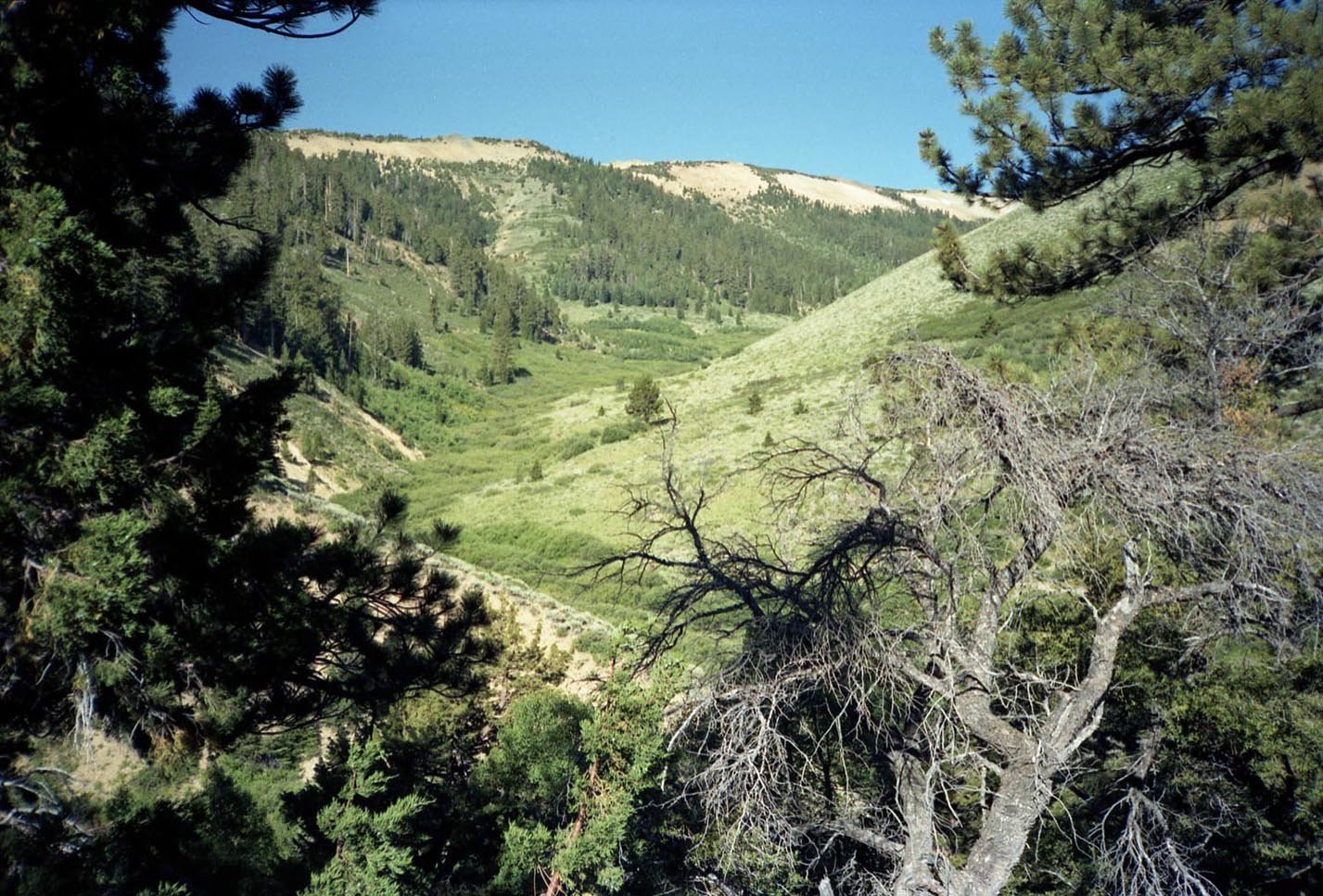 roll002_024.jpg