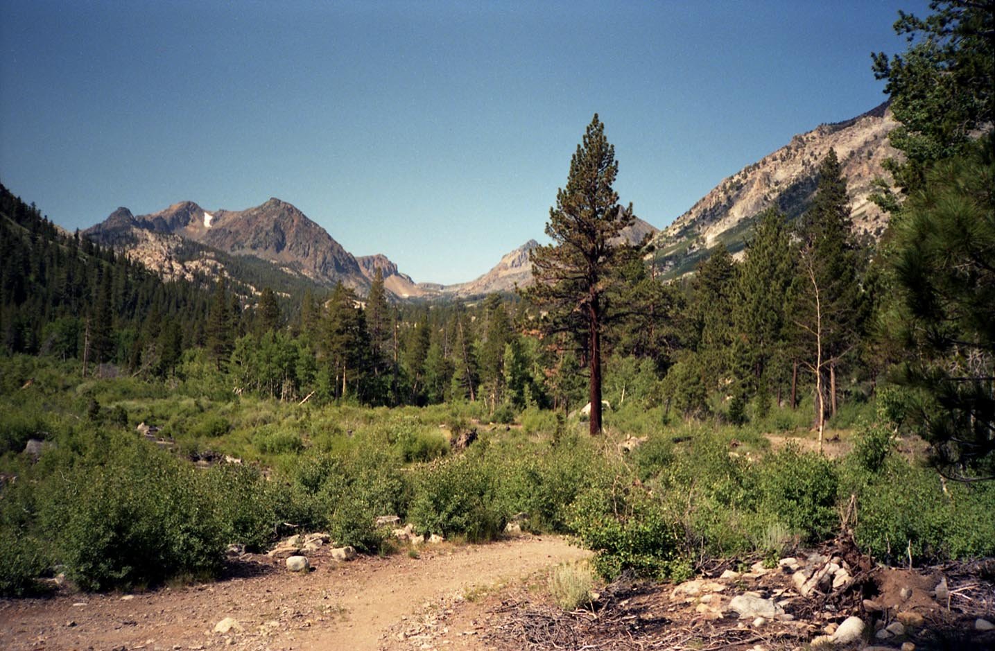roll003_008.jpg