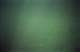 roll003_014_small.jpg