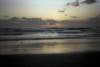 roll009_024_small.jpg
