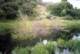 roll016_002_small.jpg