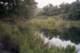 roll016_003_small.jpg