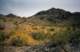 roll017_012_small.jpg